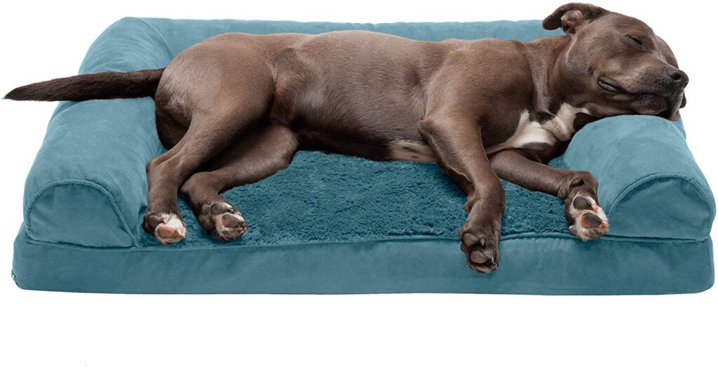 dog bed comfy
